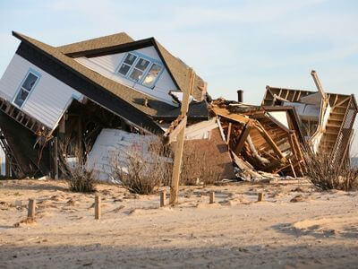 Professional mold removal services in Hallandale